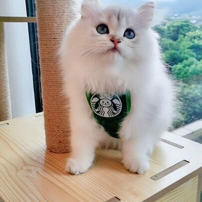 Pet Bibs, Cat & Dog Apparel, Pet Clothes & Accessories - Bibs For Dogs & Cats, Funny Design - Suitable For Most Small Dogs & Cats, Soft, Comfortable & Breathable, Pet Apron