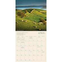 Calendars - Multicolor - View 5