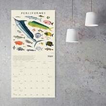 Calendars - Multicolor - View 6