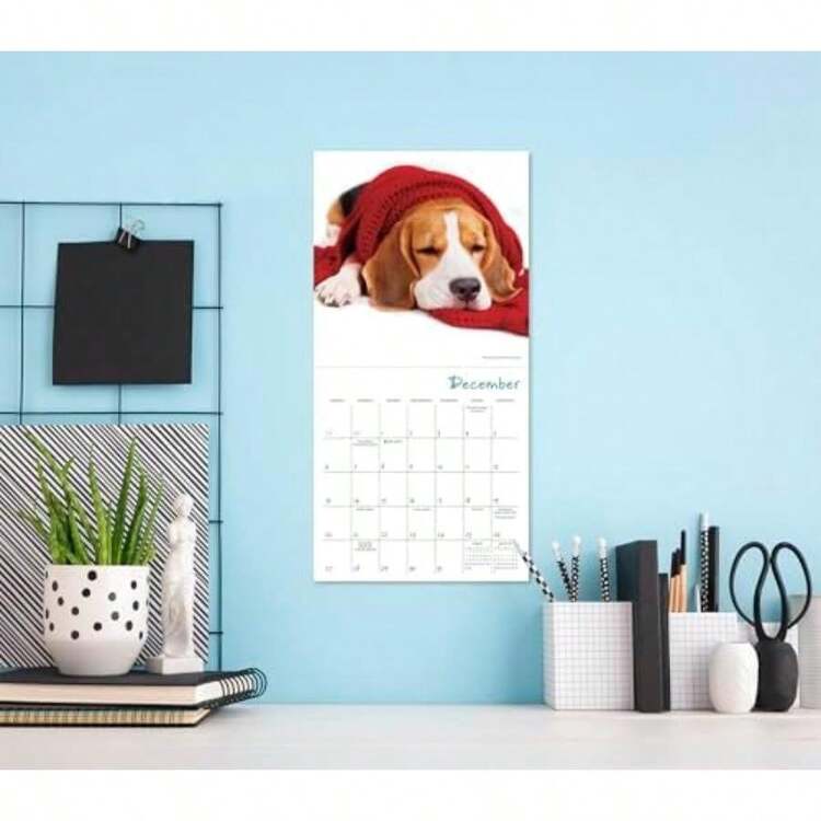Mini calendario 2026, 7 x 7 pulgadas(Cachorros caca) - Multicolor - Añade 2
