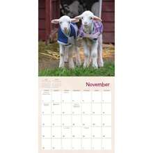 Calendars - Multicolor - View 5