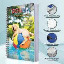 Calendars - Multicolor - View 2