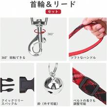 BINGPET 犬 ハーネス 首輪 リードセット 胴輪 小型犬 犬用ハーネス チェックデザイン ハンドル付き メッシュ素材 身体に優しい ベスト 反射材付き 調節可能 お散歩 着脱簡単 引っ張り防止 人気 おしゃれ 可愛い ベージュ XS - XS+レッド - チェックする 3