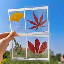 20PCS Collection Autumn Fallen Leaves Handmade DIY Bookmark Transparent Embossed Bookmark Photo Frame Autumn Leaves Plant Flowers - Multicolor - View 3
