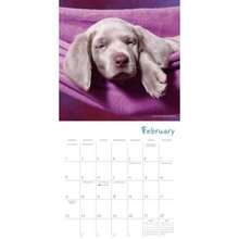 Calendars - Multicolor - View 4