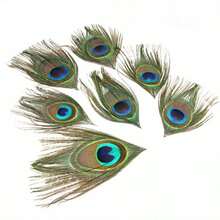 20 Peças Penas de Pavão Azuis 13-16cm - Perfeitas para Artesanato DIY, Decoração de Casamento e Suprimentos para Festas - Multicolorido - Visão 2