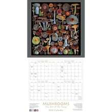 Calendars - Multicolor - View 3