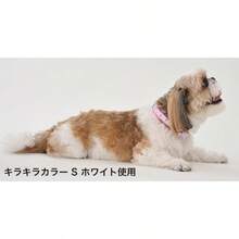 ペティオ Petio 首輪 リトルエンジェル ラブドッグカラー ブルー 小型犬用 XS サイズ - XS+ホワイト - チェックする 3
