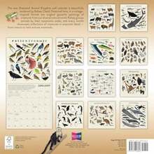 Calendars - Multicolor - View 2