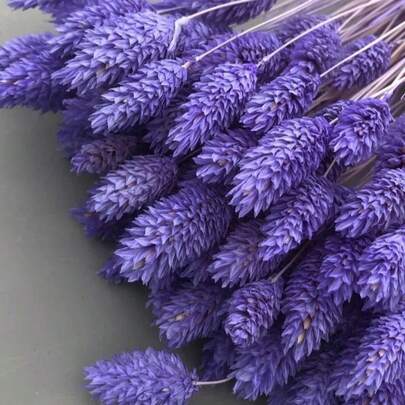 25/50/100 piezas Flores secas/preservadas de gema de hierba, opciones de multicolor, para decoración del hogar, decoración de jarrones, ramos DIY, decoración de pasteles