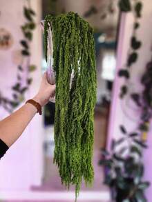 1/2/3/4/5/10 Branches Of Delicate White Flowers, Pure White Floral Embellishment, Rustic Chic Home Adornment/ Wedding Decoration Dried Blossoms - Green - View 6