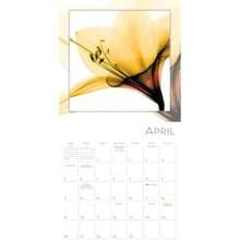 Calendars - Multicolor - View 6