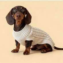 1 Stück Dackel Pullover, Langer Hunde Pullover, Haustier Kleidung, einfarbiger britischer Stil Haustier Pullover, verlängerter Haustier Pullover, minimalistisches Design, Paar/Freund Stil, geeignet für Pudel, Basset Hound, Dackel, Beagle, Corgi, langleibige Hunde, auch für Katzen geeignet, verlängerter Pullover, personalisiert - Gelb - Übersicht 23