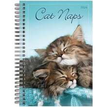 Planificador semanal y mensual 2026, calendario de compromiso de 16 meses: septiembre de 2025 a diciembre de 2026, parques nacionales ilustrados(Siestas para gatos) - Multicolor - Ver 1
