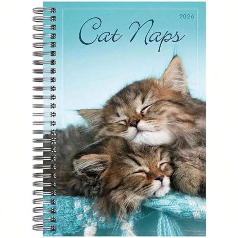 Planificador semanal y mensual 2026, calendario de compromiso de 16 meses: septiembre de 2025 a diciembre de 2026, parques nacionales ilustrados(Siestas para gatos) - Multicolor - Ver 1