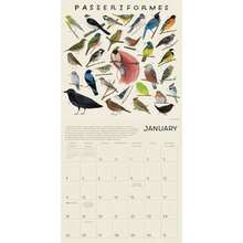 Calendario de pared Grow with Flow 2026: año de celebración del equilibrio y el amor propio, 12 x 12 pulgadas(animal kingdom) - Multicolor - Ver 4