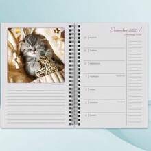 Planificador semanal y mensual 2026, calendario de compromiso de 16 meses: septiembre de 2025 a diciembre de 2026, parques nacionales ilustrados(Siestas para gatos) - Multicolor - Ver 4