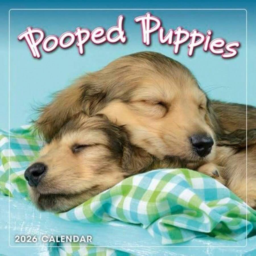 Calendars - Multicolor - View 1