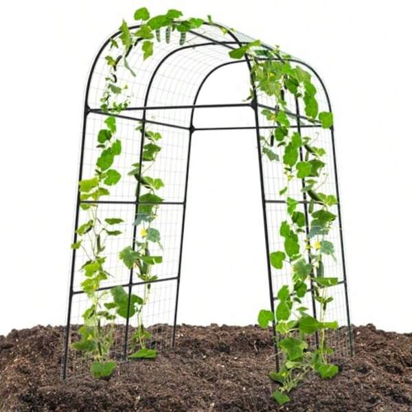 Garden Arch Trellis For Climbing Plants Outdoor - Cucumber Trellis For Raised Bed Size:71 * 87 Inch Garden Trellis For Climbing Plants Cucumber Vegetable Tomato Flowers