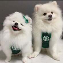 Pet Bibs, Cat & Dog Apparel, Pet Clothes & Accessories - Bibs For Dogs & Cats, Funny Design - Suitable For Most Small Dogs & Cats, Soft, Comfortable & Breathable, Pet Apron