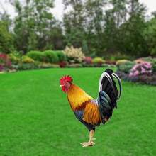 Realistic Rooster Garden Statue - Durable Acrylic Material, Suitable For Outdoor Yard, Park And Lawn Decor | Great Thanksgiving Gift | Available In Single Or Double Pack - Multicolor - View 5