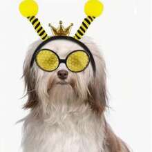 2个装男女通用蜜蜂头箍 - 眼镜 - 适合各种节日庆典、派对装扮和角色扮演 - 黃色 - 查看 4