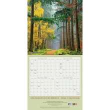 Calendars - Multicolor - View 3
