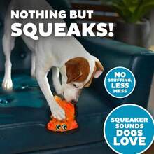 Outward Hound Durablez Minis Stuffing-Free Squeaky Plush Dog Toy For Puppies &Amp; Small Dogs - Interactive, Soft Yet Tough, No Mess, Jumbo Squeaker, Long-Lasting Play, Dog - 藍白色 - 查看 4