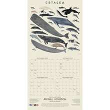 Calendars - มัลติคัลเลอร์ - ดู 3