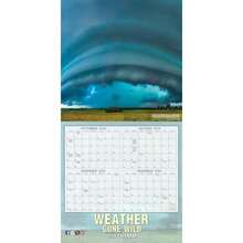 Calendars - Multicolore - Voir 3