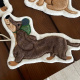 Coffee-colored Green Hat Dachshund