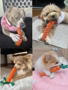 5-Piece Set With Machine Model, Durable And Tough Interactive Pet Puppy Toy, BB Sound Toy, Small And Medium-Sized Cat And Dog Supplies, Randomly Shipped - Multicolor - View 5