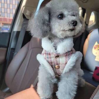 1 st. rutigt koppelfäste för husdjur, husdjursväst, hund-/kattkläder, höst-/vinterförstärkt varmt rutigt koppelväst för små hundar som Teddy, Pomeranian, Bichon Frisé