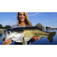 20 Pack - 4and#034; Paddle Tail SHAD - PEARL - Paddle Tail Swim Bait - USA-BEST QUALITY - như hình ảnh - Xem 6