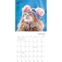 Calendars - Multicolor - View 4