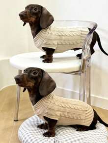 1 Stück Dackel Pullover, Langer Hunde Pullover, Haustier Kleidung, einfarbiger britischer Stil Haustier Pullover, verlängerter Haustier Pullover, minimalistisches Design, Paar/Freund Stil, geeignet für Pudel, Basset Hound, Dackel, Beagle, Corgi, langleibige Hunde, auch für Katzen geeignet, verlängerter Pullover, personalisiert - Gelb - Übersicht 25