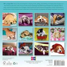 Calendars - Multicolor - View 3
