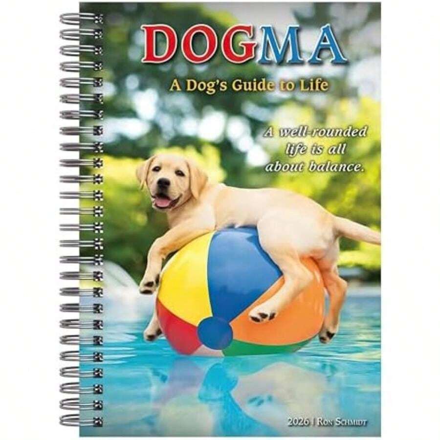 Calendars - Multicolor - View 1