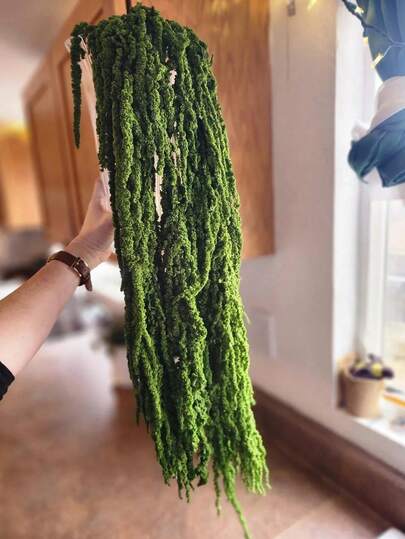 1/2/3/4/5/10 Branches Of Delicate White Flowers, Pure White Floral Embellishment, Rustic Chic Home Adornment/ Wedding Decoration Dried Blossoms