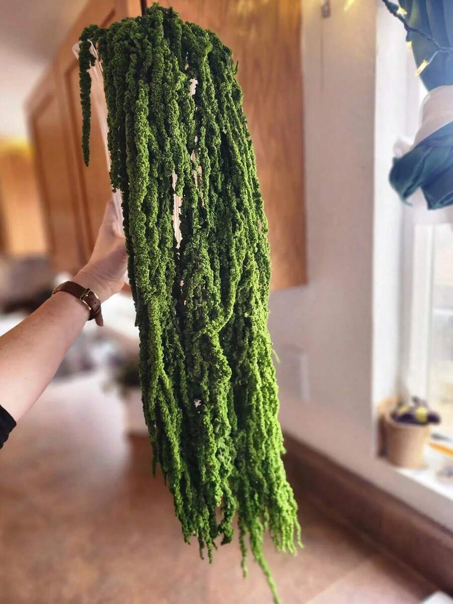 1/2/3/4/5/10 Branches Of Delicate White Flowers, Pure White Floral Embellishment, Rustic Chic Home Adornment/ Wedding Decoration Dried Blossoms - Green - View 1