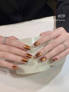 LYTTOA 10毫升栗棕色猫咪磁性凝胶指甲油半永久焦糖巧克力棕色玻璃珠猫眼凝胶4色套装美甲沙龙1件/10件