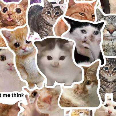 100 piezas de pegatinas de gato lindas, pegatinas creativas y resistentes al agua adecuadas para tazas, refrigeradores, libros, equipaje, mesas, cascos, patinetas, cámaras, guitarras, portátiles, etc.