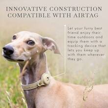 Standard Leashes - Beige - View 5