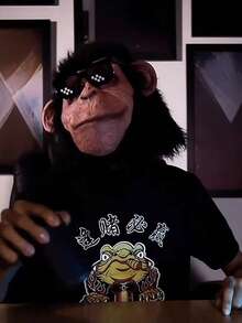 1个逼真的猴子/大猩猩乳胶面具，成人尺寸，灵长类动物头饰，适用于服装、角色扮演和节日礼物，耐用舒适的灵长类动物服装配饰 - 彩色 - 查看 12