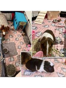 Reusable Pet Pee Pad, Waterproof & Anti-Slip, Quick Drying Hamster Guinea Pig Bedding Mat, Suitable For Hamsters, Guinea Pigs, Rabbits And Pet Cages, All Season Use