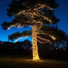 2 Packs, Warm Light 50LED*2/100LED*2 /200LED*2 /300LED*2 Fairy String Lights, Suitable For Use With Patio, Outdoor Party, Wedding, Christmas. - Warm Light - View 7