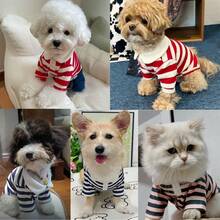 狗狗服装 - 贵宾犬、泰迪犬、约克夏犬、西施犬 Polo 衫、夏季连衣裙、条纹宠物 T 恤、柔软连帽衫、夏季 Polo 衫；狗狗服装 - 比熊犬、吉娃娃、条纹狗狗连帽衫、中小型狗狗降温背心 - 彩色 - 查看 10
