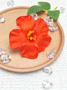 4 PCS Frangipani Flower Hair Clips, Hawaiian Tropical Hair Accessories, Artificial Plumeria Claw Clips For Women, Perfect For Beach Parties, Weddings, Summer Festivals, Tropical Vacations, Back-To-School Events, Hair Claws, Hair Slide, Hair Barrettes, School Stuff - Multicolor - View 6