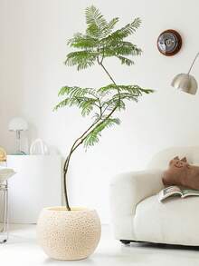 1 件超大仿石球形圆形塑料花盆，落地式人造植物装饰盆，大直径双层圆形塑料花盆，多肉植物盆，树盆，大圆球家居装饰，酒店人造绿色植物盆，适合在家庭露台花园种植大型植物