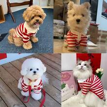 狗狗服装 - 贵宾犬、泰迪犬、约克夏犬、西施犬 Polo 衫、夏季连衣裙、条纹宠物 T 恤、柔软连帽衫、夏季 Polo 衫；狗狗服装 - 比熊犬、吉娃娃、条纹狗狗连帽衫、中小型狗狗降温背心 - 彩色 - 查看 9